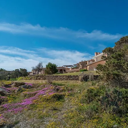 公寓 Porto Cervo,trilocale,1 Stanza Letto,i1
